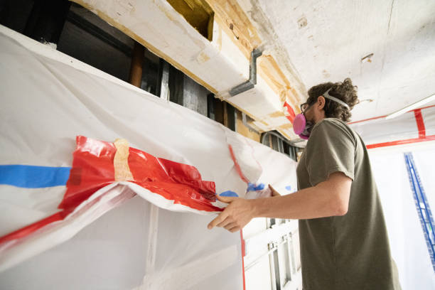 Mold Odor Removal Services in Winfield, MO