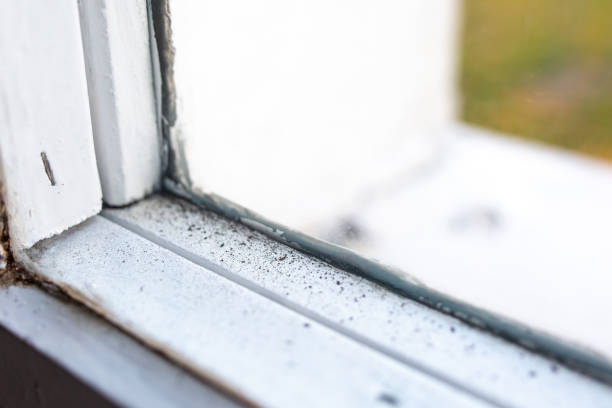 Mold Remediation for Vacation Homes in Winfield, MO