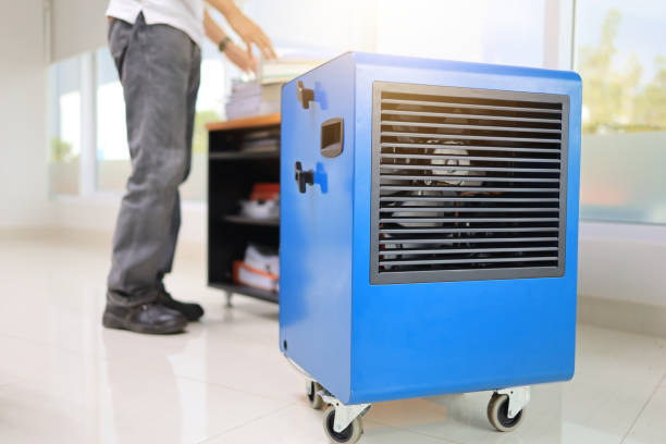 Mold Remediation for Rental Properties in Winfield, MO