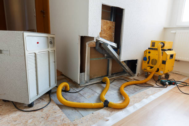Best Forensic Mold Investigation  in Winfield, MO
